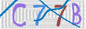 キャプチャ画像