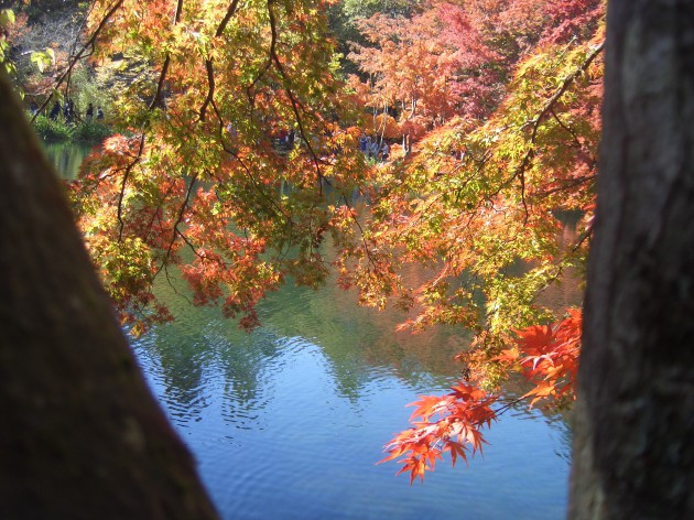 軽井沢　雲場池の秋日和